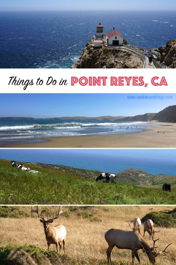things to do in point reyes national seashore